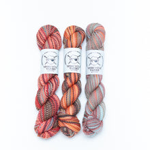 Load image into Gallery viewer, Spincycle Dyed in the Wool