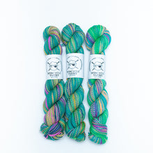 Load image into Gallery viewer, Spincycle Dyed in the Wool