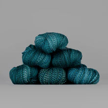 Load image into Gallery viewer, Spincycle Dyed in the Wool
