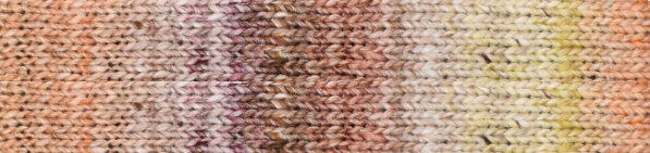 Noro Akari