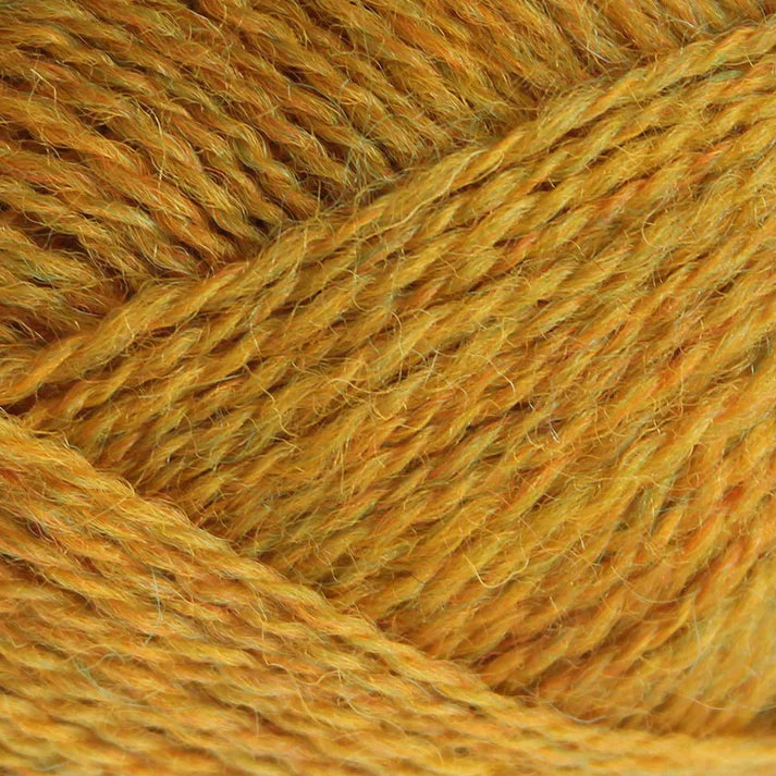 Pip 4-Ply