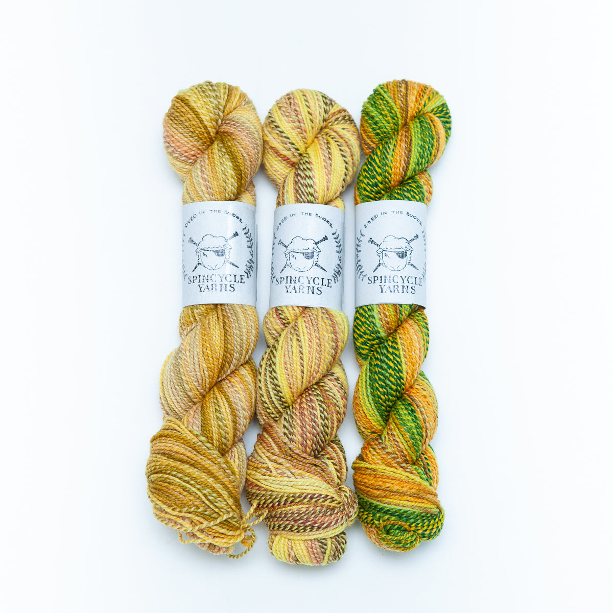 Spincycle Dyed in the Wool