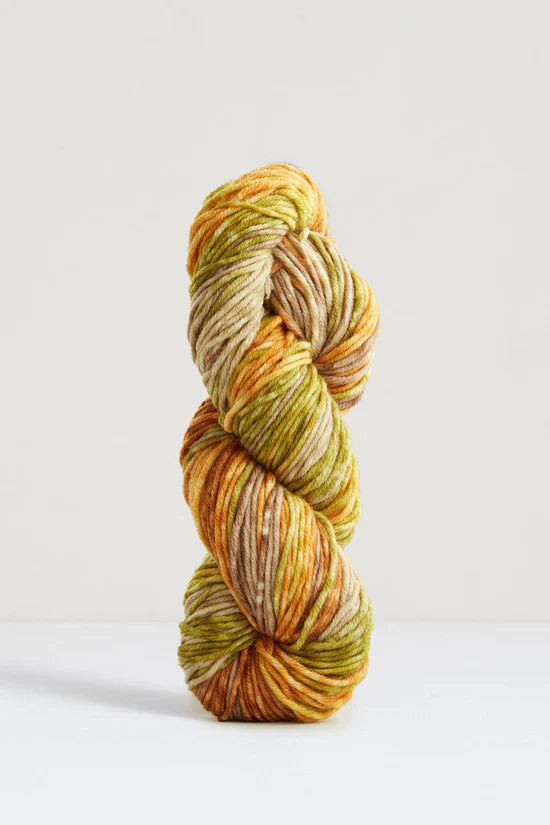 Echoes Aran