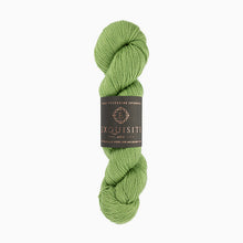 Load image into Gallery viewer, Exquisite 4 Ply

