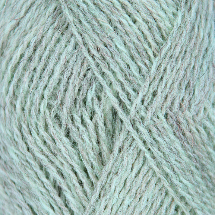 Pip 4-Ply